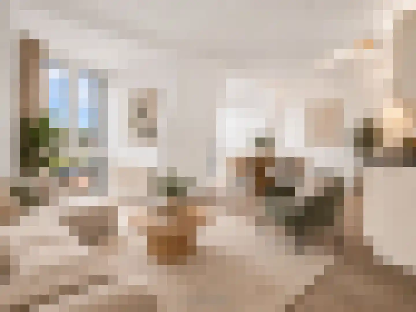 Beverwijkerstraatweg 6 r Castricum thumbnail 8