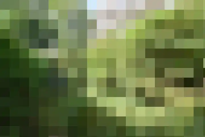 Bevinlaan 201 Utrecht thumbnail 13