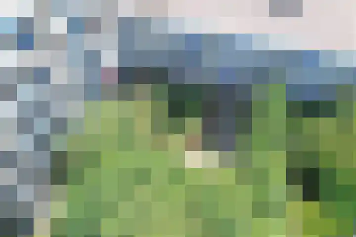Bevinlaan 201 Utrecht thumbnail 15