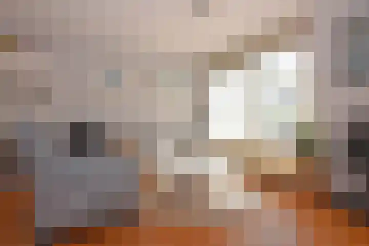 Bevinlaan 201 Utrecht thumbnail 4