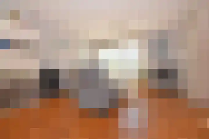 Bevinlaan 201 Utrecht thumbnail 6