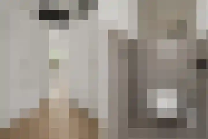 Bevinlaan 203 Utrecht thumbnail 11