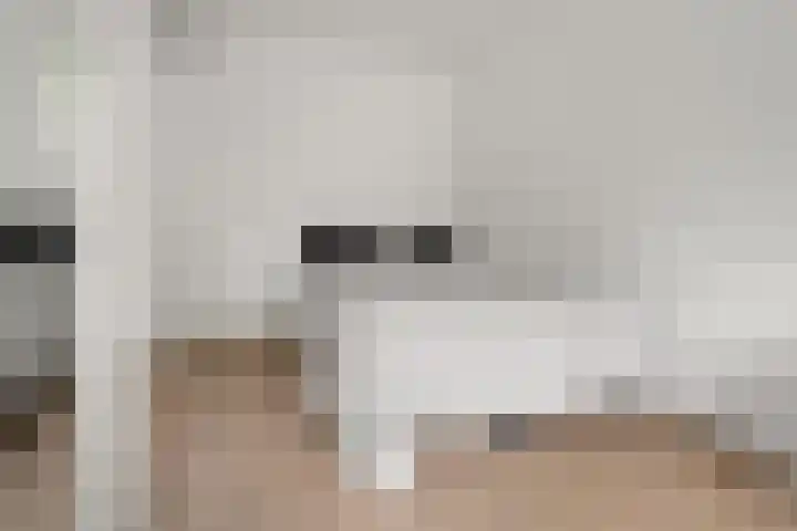 Bevinlaan 203 Utrecht thumbnail 15
