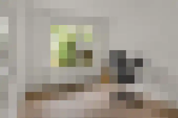 Bevinlaan 203 Utrecht thumbnail 16
