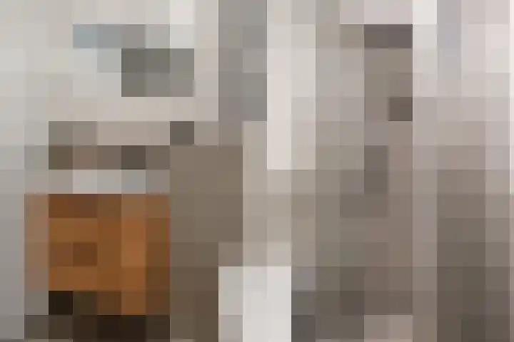Bevinlaan 203 Utrecht thumbnail 18