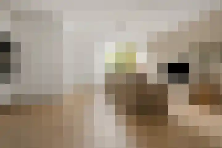 Bevinlaan 203 Utrecht thumbnail 19