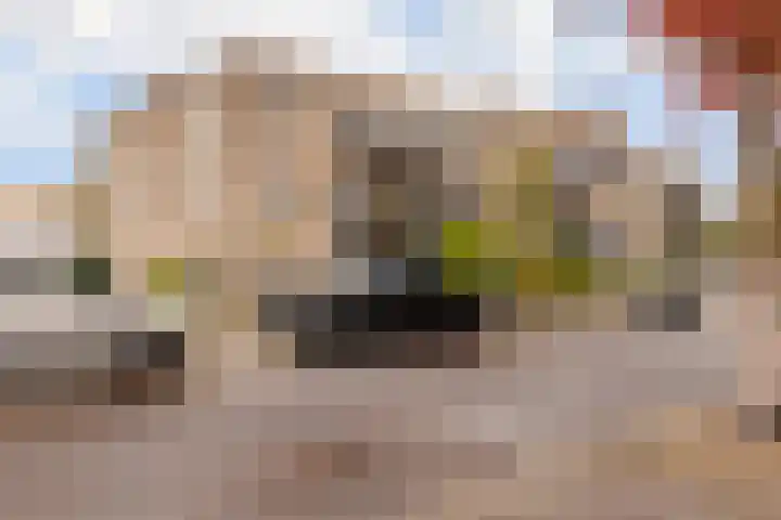 Bevinlaan 203 Utrecht thumbnail 22