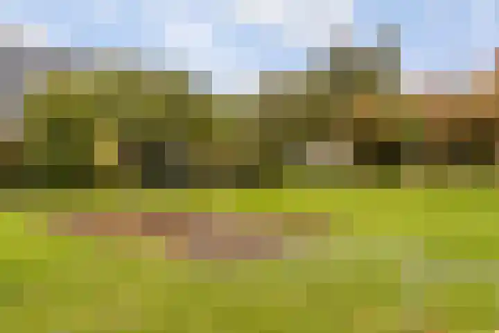 Bevinlaan 203 Utrecht thumbnail 25