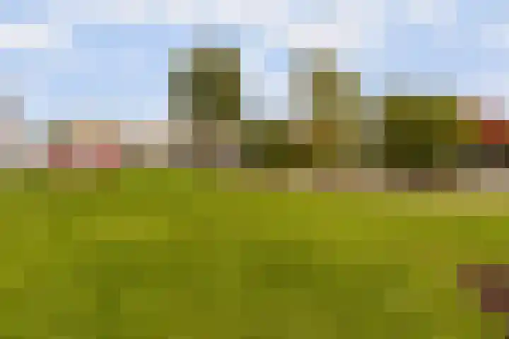 Bevinlaan 203 Utrecht thumbnail 26