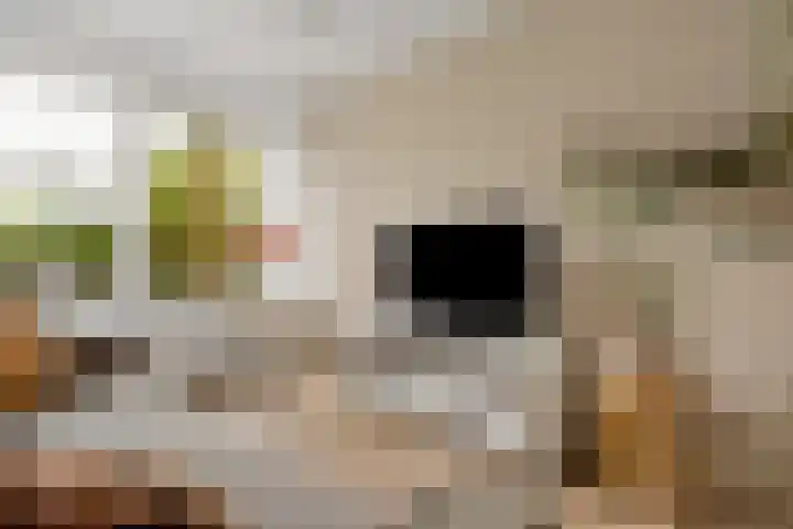 Bevinlaan 203 Utrecht thumbnail 4