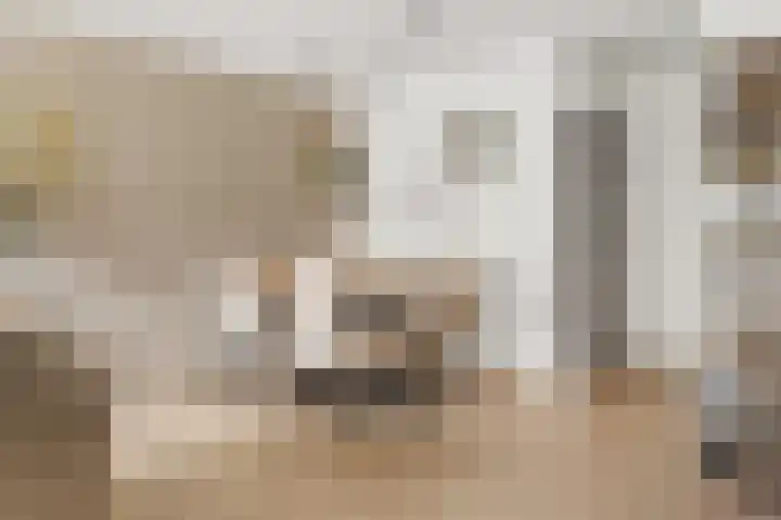 Bevinlaan 203 Utrecht thumbnail 5