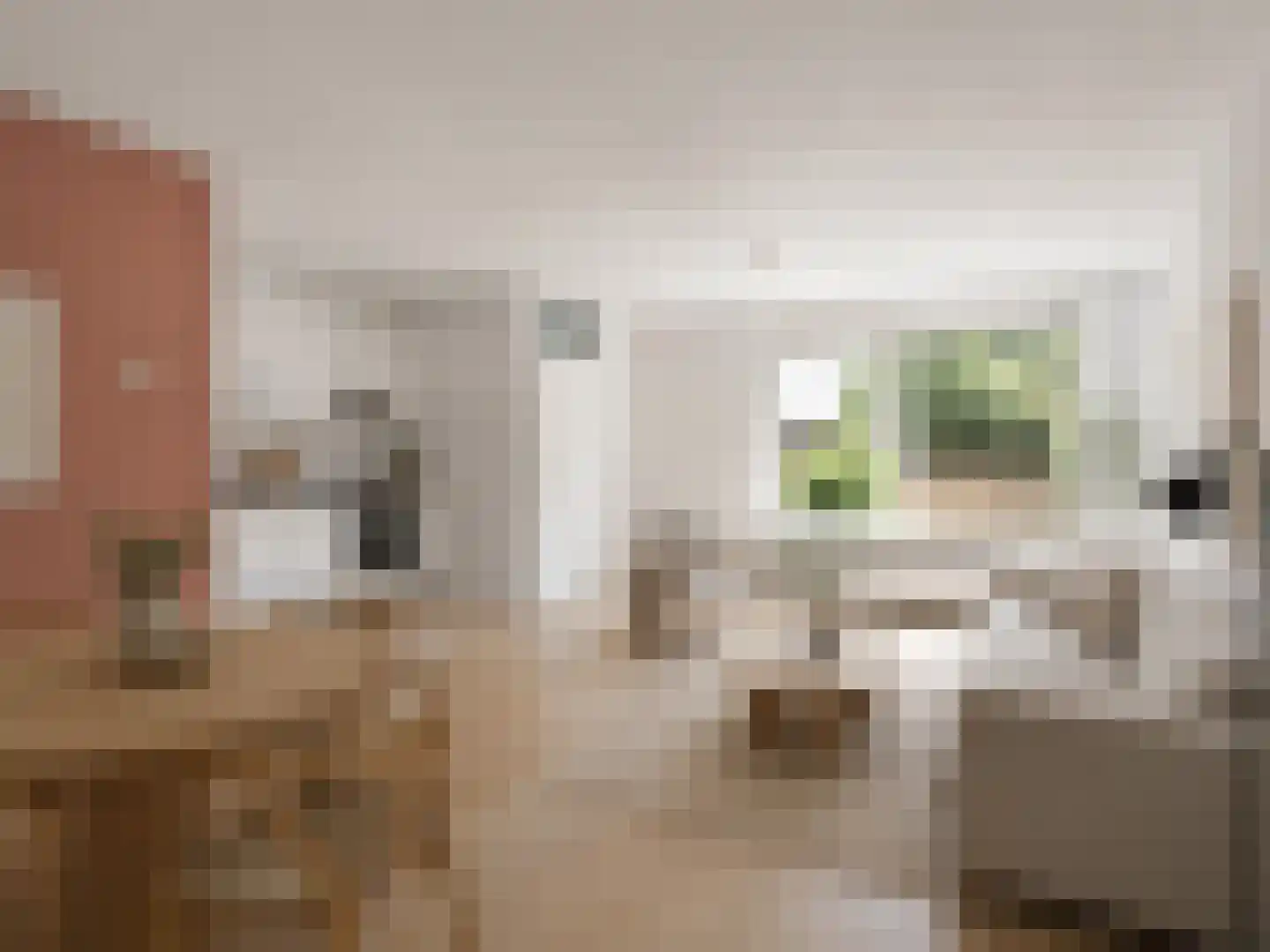 Bevinlaan 207 Utrecht thumbnail 12