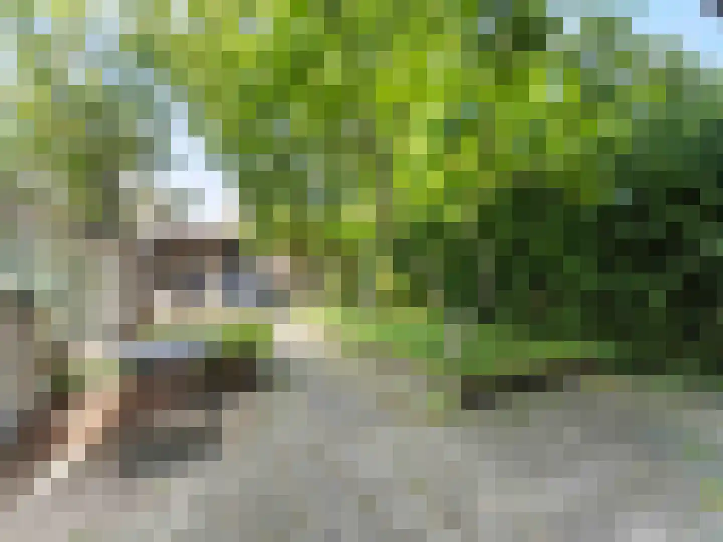 Bevinlaan 207 Utrecht thumbnail 24