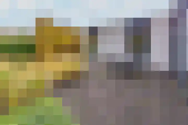 Bevrijderslaan 3 Stadskanaal thumbnail 27