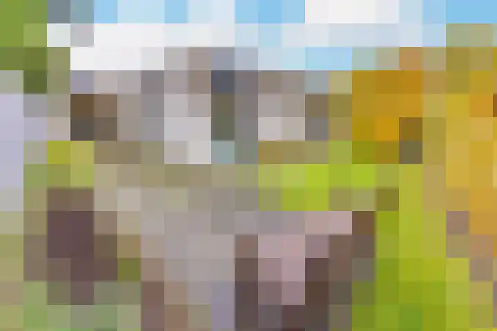Bevrijderslaan 3 Stadskanaal thumbnail 29
