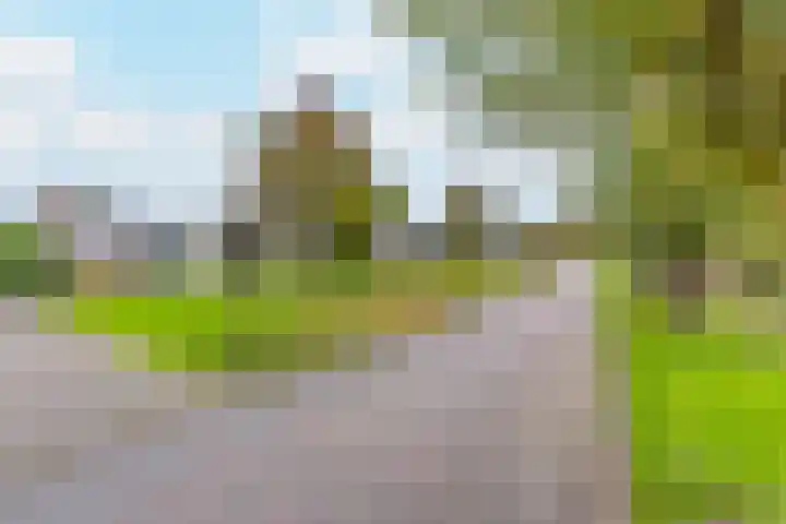 Bevrijderslaan 3 Stadskanaal thumbnail 31