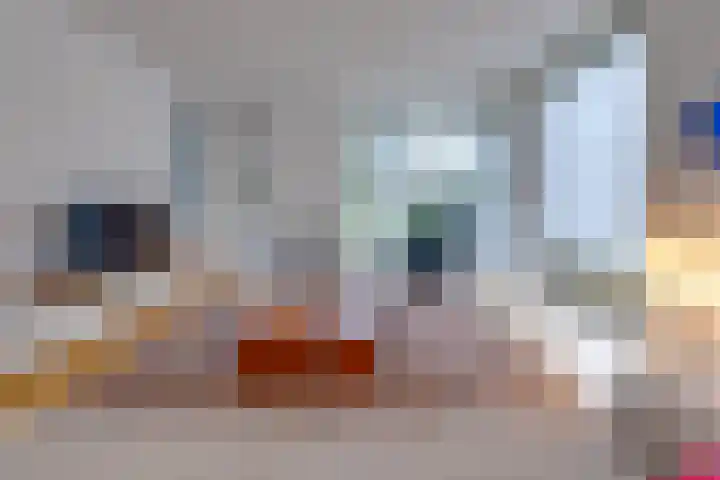 Bevrijderslaan 3 Stadskanaal thumbnail 8