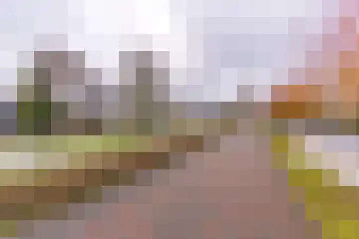 Bevrijderslaan 5 Stadskanaal thumbnail 10