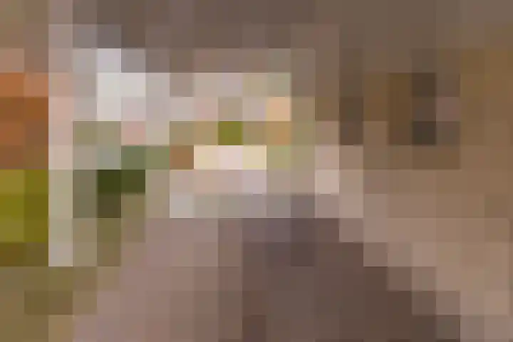 Bevrijderslaan 5 Stadskanaal thumbnail 13