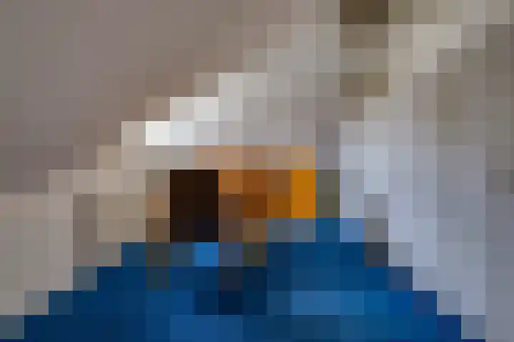 Bevrijderslaan 5 Stadskanaal thumbnail 38