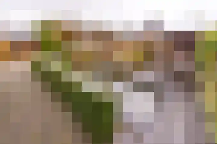 Bevrijderslaan 5 Stadskanaal thumbnail 4