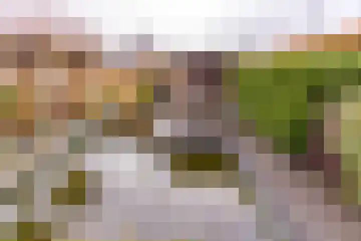 Bevrijderslaan 5 Stadskanaal thumbnail 42