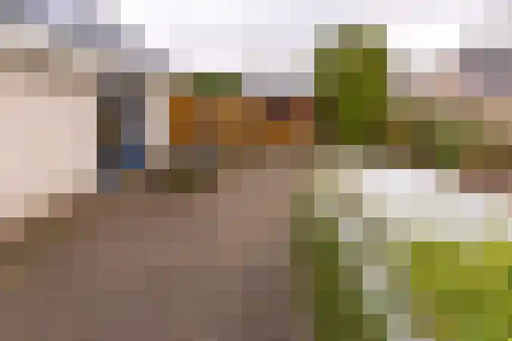 Bevrijderslaan 5 Stadskanaal thumbnail 43