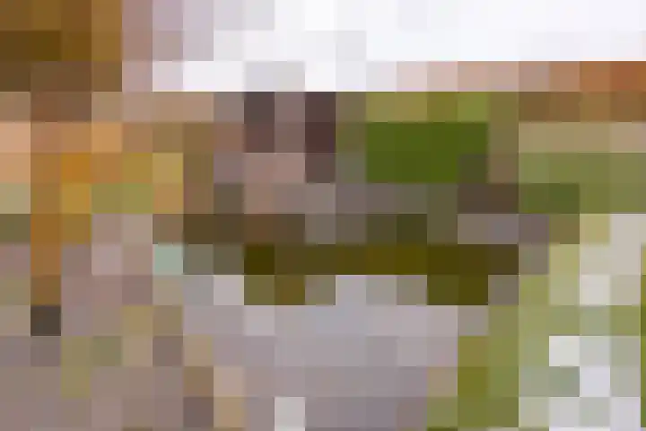 Bevrijderslaan 5 Stadskanaal thumbnail 45