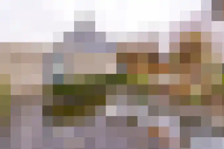 Bevrijderslaan 5 Stadskanaal thumbnail 46