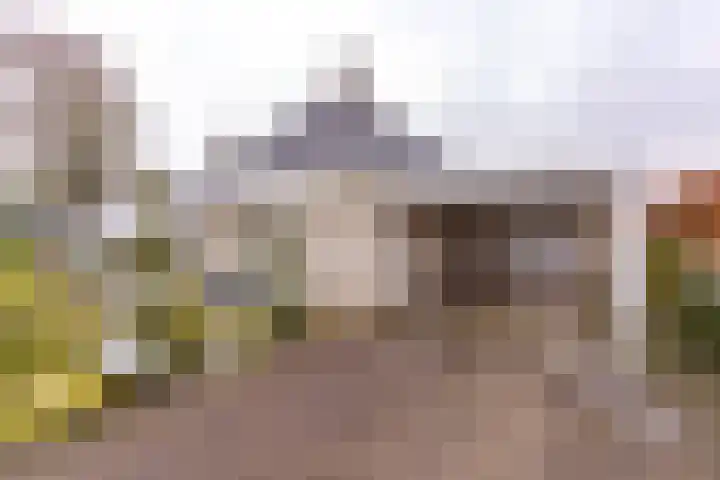 Bevrijderslaan 5 Stadskanaal thumbnail 6