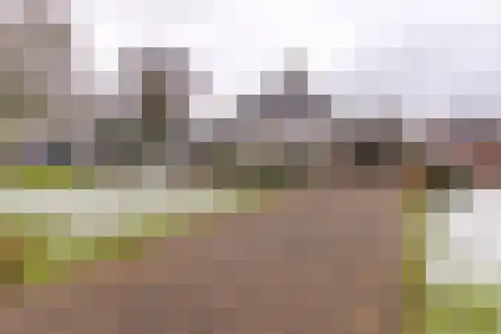 Bevrijderslaan 5 Stadskanaal thumbnail 7