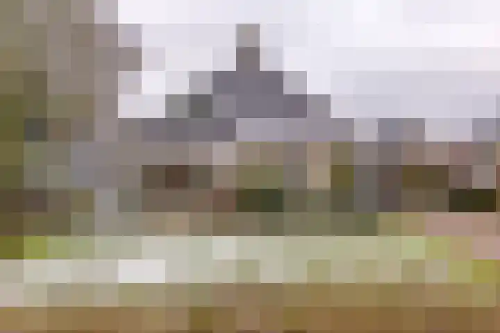 Bevrijderslaan 5 Stadskanaal thumbnail 8