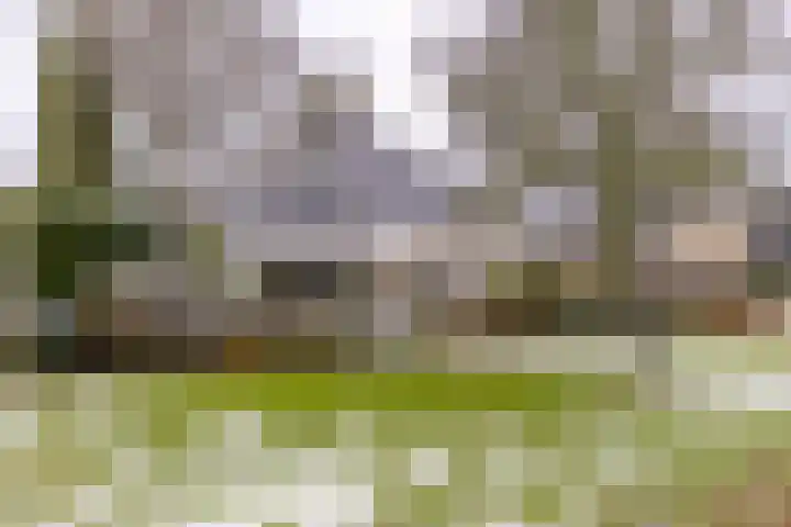 Bevrijderslaan 5 Stadskanaal thumbnail 9