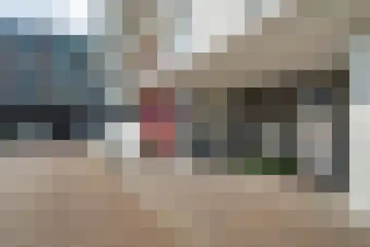 Bevrijderslaantje 50 Hengelo thumbnail 37