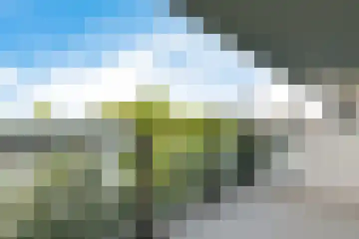 Bevrijderslaantje 50 Hengelo thumbnail 4