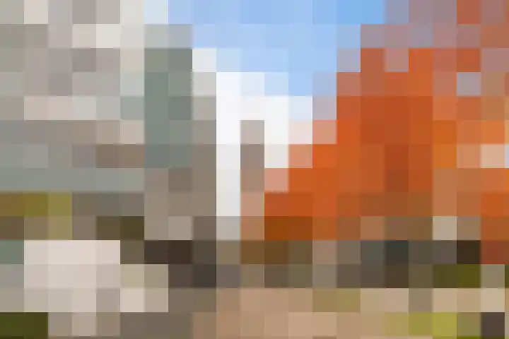 Bevrijderslaantje 74 Hengelo thumbnail 5
