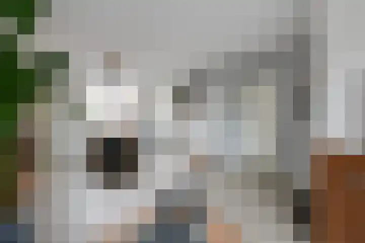Bevrijding 73 Aalten thumbnail 11
