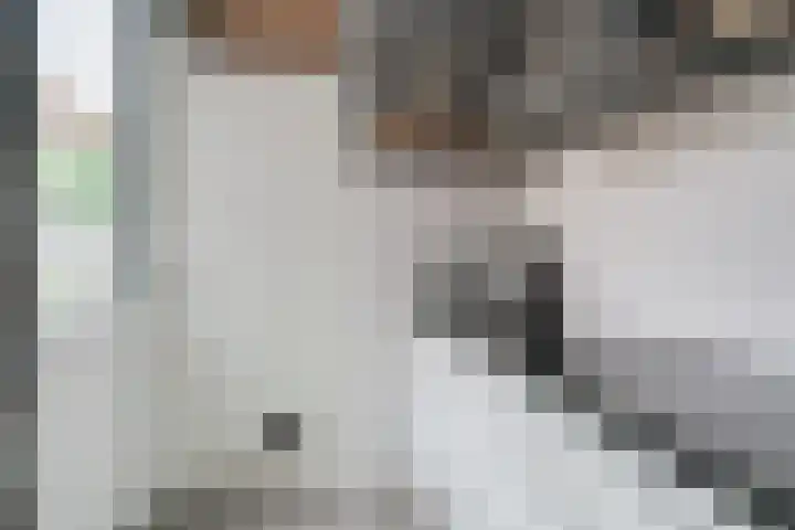 Bevrijding 73 Aalten thumbnail 18