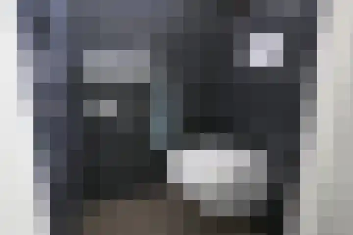 Bevrijding 73 Aalten thumbnail 23
