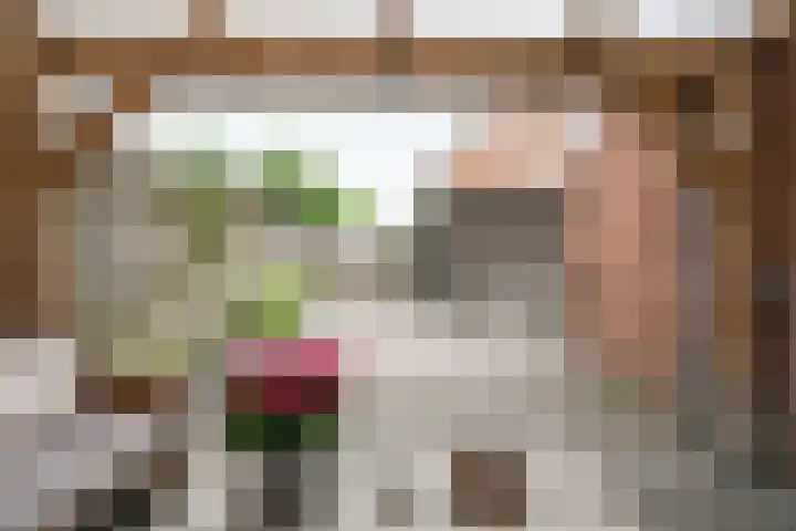Bevrijding 73 Aalten thumbnail 36