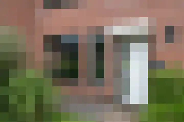 Bevrijding 73 Aalten thumbnail 4
