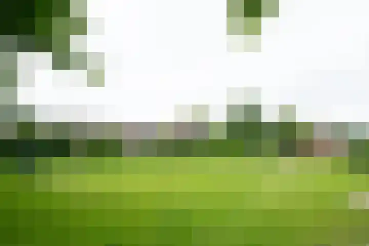 Bevrijding 73 Aalten thumbnail 43