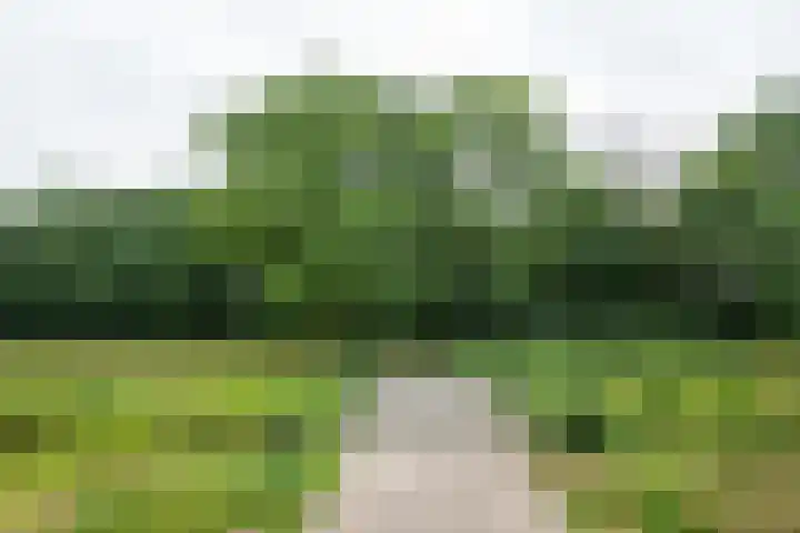 Bevrijding 73 Aalten thumbnail 44