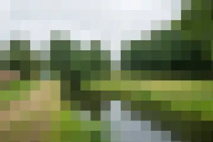 Bevrijding 73 Aalten thumbnail 45