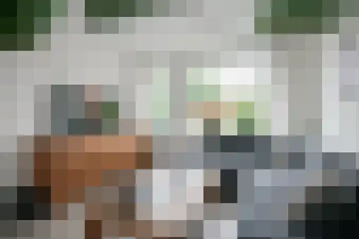 Bevrijding 73 Aalten thumbnail 8