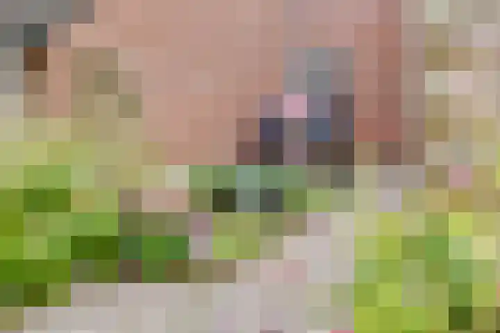 Bevrijding 75 Aalten thumbnail 12