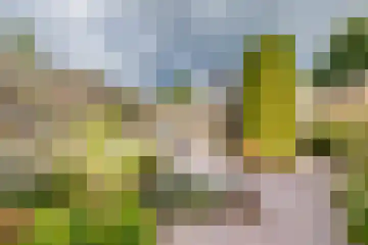 Bevrijding 75 Aalten thumbnail 14