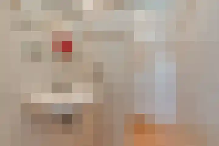 Bevrijding 75 Aalten thumbnail 7