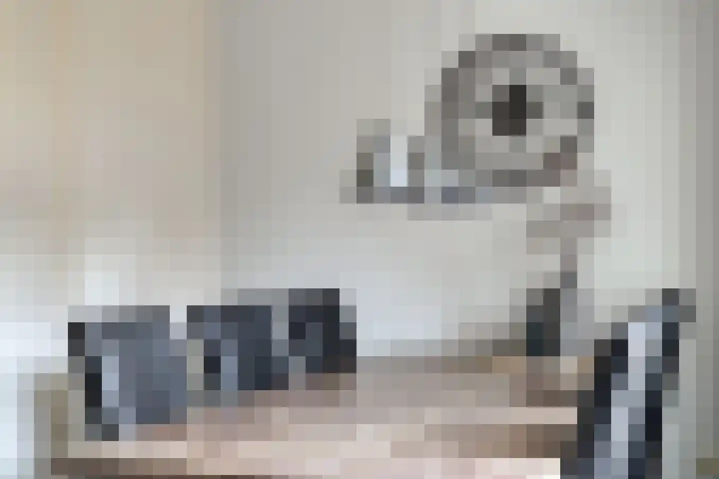 Bevrijding 81 Aalten thumbnail 17