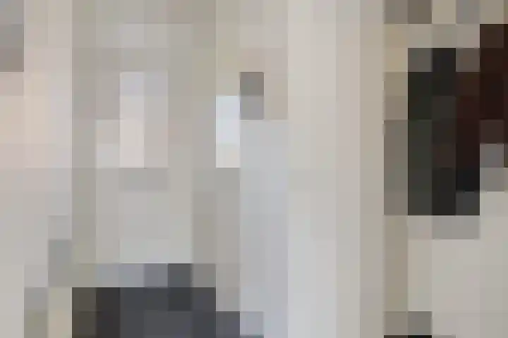 Bevrijding 81 Aalten thumbnail 4